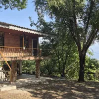 اجاره ویلا باغ