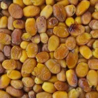 قابل توجه وانتی ها