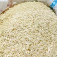 برنج کامفیروزی اصل|خوردنی و آشامیدنی|شیراز, شهرک فرزانگان|دیوار