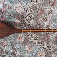 تنبور کارکرده، خوش صدا|سازهای سنتی|همدان, |دیوار