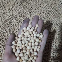 فروش نخود عمده|خوردنی و آشامیدنی|تهران, بهارستان|دیوار
