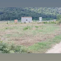 زمین-باغی