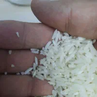 برنج هاشمی|خوردنی و آشامیدنی|رشت, حمیدیان|دیوار
