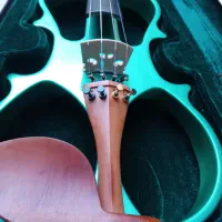 ویالون. ویولن.ویلن الکتریکی برقی|ویولن|تبریز, |دیوار