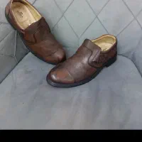 کفش زنانه و مردانه|کیف، کفش، کمربند|چالوس, |دیوار