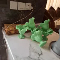 شش عدد بارفتن سبز امریکایی زیبا