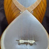 تار کاملا نو بدون استفاده|سازهای سنتی|قائمشهر, |دیوار