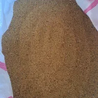 فروش بذر یونجه اصل همدان پا بلند|عمدهفروشی|بیله سوار, |دیوار