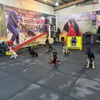 باشگاه تربیت و آموزش سگ ، مربی سگ|خدمات آموزشی|اصفهان, سپاهانشهر|دیوار