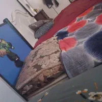 تخت خواب ی نفره باتشک فنری