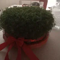 اپارتمان-دو-خوابه-قدیمی-شریف-واقفی-160-متر