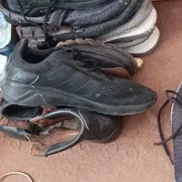 انواع کفش|کیف، کفش، کمربند|باشت, |دیوار