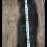 خریدار مو طبیعی و رنگی با بالاترین قیمت