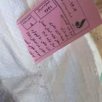 بذر گندم از نوع باران و مادری (دست اول)|عمده‌فروشی|همدان, |دیوار