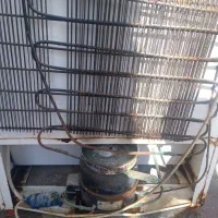 یخچال برای منزل|یخچال و فریزر|تربت جام, عیدی آباد|دیوار