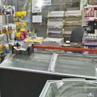 فریز صندوقی مغازه