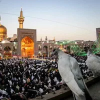 امام رضا