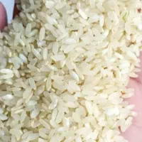 برنج کامفیروز