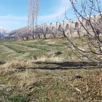 مرغداری5000قطعه ای|فروش دفتر صنعتی، کشاورزی، تجاری|موچش, |دیوار