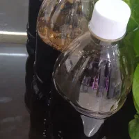 رب انار خانگی