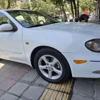 ماکسیما درجه یک و استثنایی