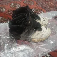 شخصی|کیف، کفش، کمربند|گنبد کاووس, |دیوار