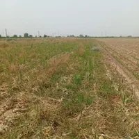 ۲هکتار زمین کشاورزی بین سیاهمنصور و چغاسبز|فروش دفتر صنعتی، کشاورزی، تجاری|دزفول, |دیوار