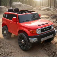 اصل شاسی ماشین شارژی