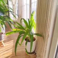 حراج وسایل منزل