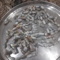 مهره سلیمانی ، یشم