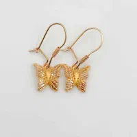 گوشواره گمشده