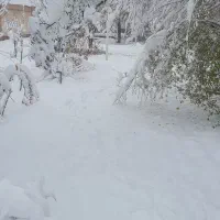 همخونه میخوام