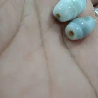 مهره اصلی سلیمانی