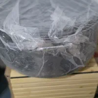 دیگ تکنو ۳۰ نفره