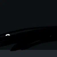 برگشت انتن گوشی های ایفون بدون ربجستر با ضمانت