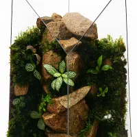 انواع تراریوم|گل و گیاه طبیعی|تبریز, |دیوار