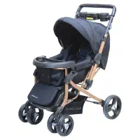 کالسکه بچه دلیجان