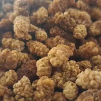 توت خشک محلی شیرین|خوردنی و آشامیدنی|چاراویماق, |دیوار