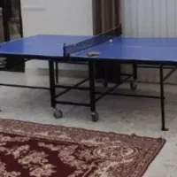 تنیس میز پینگ پنگ
