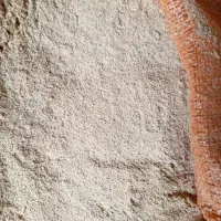 سبوس برنج  (کپک)تازه تمیز