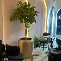 استخدام باریستا خانم و سالن کار|استخدام خدمات فروشگاه و رستوران|رباط‌کریم, رباط‌کریم|دیوار