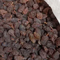 کشمش آفتابی|خوردنی و آشامیدنی|ملایر, |دیوار