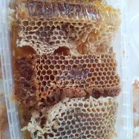 عسل طبیعی