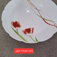 ارکوپال دسینی|ظروف سرو و پذیرایی|محمدیه-قزوین, |دیوار