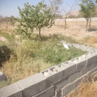 زمین ویلایی در خسروشاه ناصرخان|فروش زمین و ملک کلنگی|خسروشاه, |دیوار