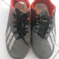 استوک سالنی