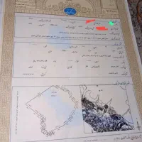 زمین ۲۵۰ متری قزلحصار