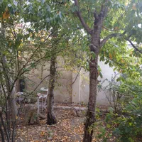 خانه باغ در قمصر کاشان|اجارهٔ کوتاهمدت ویلا و باغ|قمصر, |دیوار