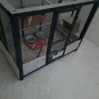 قفس|لوازم جانبی حیوانات|شهریار, شهریار|دیوار