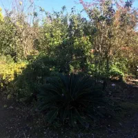 فروش زمین مسکونی|فروش زمین و ملک کلنگی|اصفهان, دانشگاه اصفهان|دیوار